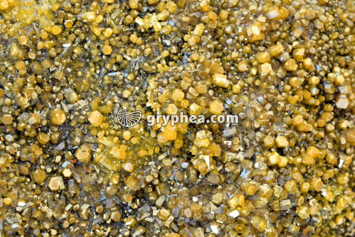 Mimetite jaune-orange (Hat Yai, Thaïlande) - gryphea.com